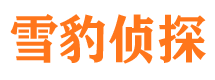 元阳外遇调查取证